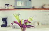 Туры в отель IKAL Island Garden - Adults Only