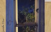 Туры в отель IKAL Island Garden - Adults Only