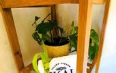Туры в отель IKAL Island Garden - Adults Only