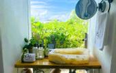 Туры в отель IKAL Island Garden - Adults Only