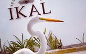 Туры в отель IKAL Island Garden - Adults Only
