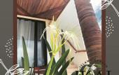 Туры в отель IKAL Island Garden - Adults Only