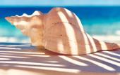 Туры в отель IKAL Island Garden - Adults Only