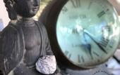 Туры в отель IKAL Island Garden - Adults Only
