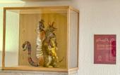 Туры в отель Hotel Boutique Casa Alebrije