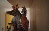 Туры в отель Hotel Boutique Casa Alebrije