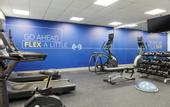 Туры в отель Holiday Inn Express & Suites Hotel Mazatlan by IHG