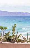 Туры в отель Amina Wind Resort by Tasman