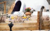 Туры в отель NEST Baja, Member of Design Hotels