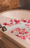 Туры в отель BON Hotel at VidantaWorld Nuevo Vallarta