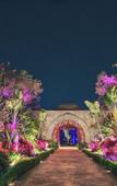 Туры в отель BON Hotel at VidantaWorld Nuevo Vallarta