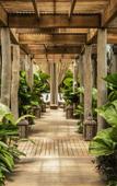 Туры в отель BON Hotel at VidantaWorld Nuevo Vallarta