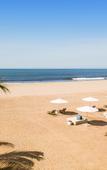 Туры в отель BON Hotel at VidantaWorld Nuevo Vallarta