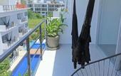 Туры в отель Papaya Suites Diamante - Adults Only