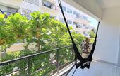 Туры в отель Papaya Suites Diamante - Adults Only