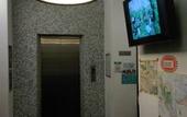 Туры в отель SO Hotel