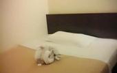 Туры в отель SO Hotel