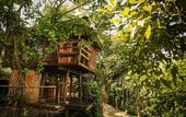 Туры в отель MaliHom Private Estate