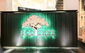 Туры в отель Eco Tree Hotel