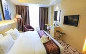 Туры в отель Eco Tree Hotel