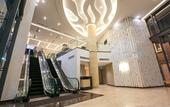 Туры в отель Eco Tree Hotel