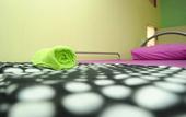 Туры в отель Lavender Guesthouse - Hostel