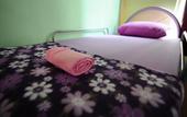 Туры в отель Lavender Guesthouse - Hostel