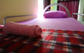 Туры в отель Lavender Guesthouse - Hostel