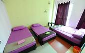 Туры в отель Lavender Guesthouse - Hostel