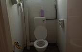 Туры в отель Lavender Guesthouse - Hostel