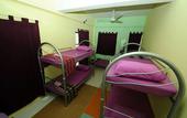 Туры в отель Lavender Guesthouse - Hostel