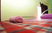 Туры в отель Lavender Guesthouse - Hostel