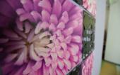 Туры в отель Lavender Guesthouse - Hostel