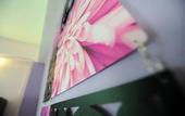 Туры в отель Lavender Guesthouse - Hostel