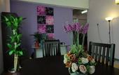 Туры в отель Lavender Guesthouse - Hostel
