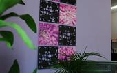 Туры в отель Lavender Guesthouse - Hostel