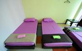 Туры в отель Lavender Guesthouse - Hostel
