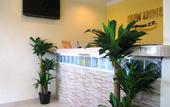 Туры в отель Sun Inns Hotel Equine Seri Kembangan