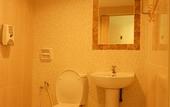Туры в отель Sun Inns Hotel Kota Damansara