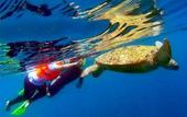 Туры в отель Scuba Tiger Semporna Holiday Resort