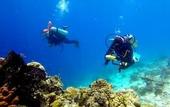 Туры в отель Scuba Tiger Semporna Holiday Resort