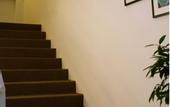 Туры в отель Alami Garden Hotel