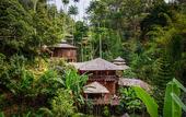 Туры в отель Fig Tree Hill Resort