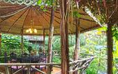 Туры в отель Fig Tree Hill Resort