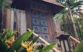 Туры в отель Fig Tree Hill Resort