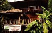 Туры в отель Fig Tree Hill Resort