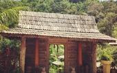 Туры в отель Fig Tree Hill Resort