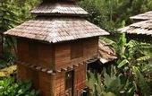 Туры в отель Fig Tree Hill Resort