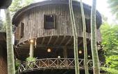 Туры в отель Fig Tree Hill Resort