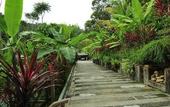 Туры в отель Fig Tree Hill Resort